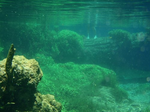 underwater az (2) (800x600).jpg