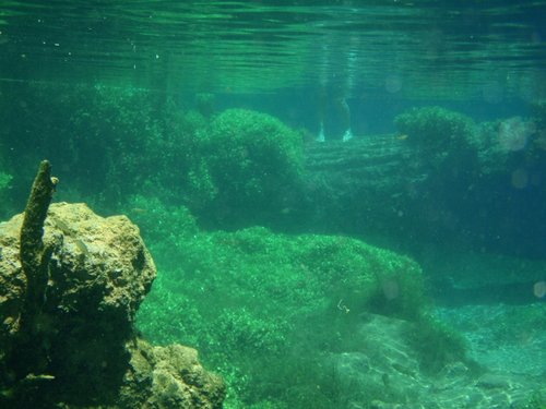 underwater az (2) (800x600).jpg