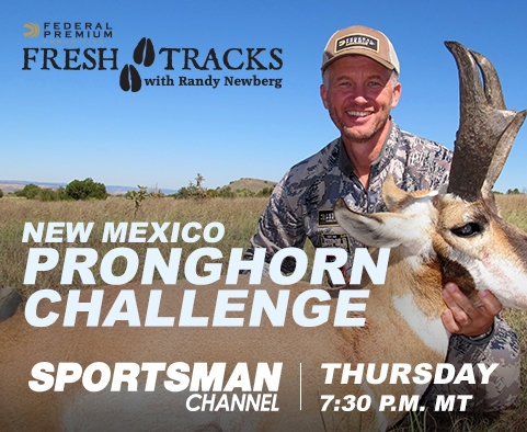 freshtracks-pronghorn.jpg freshtracks-pronghorn.jpg