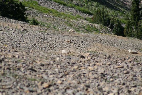 IMG_3600.jpg IMG_3600.jpg
