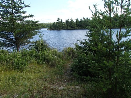 2014 ELY TRIP 323.JPG