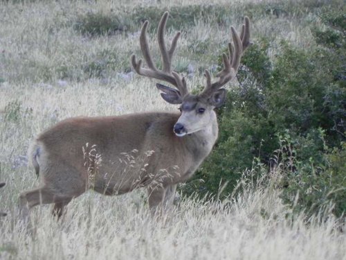 Aug. 2014 200 (1).jpg