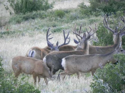 Aug. 2014 200 (2).jpg