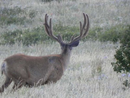 Aug. 2014 221 (2).jpg