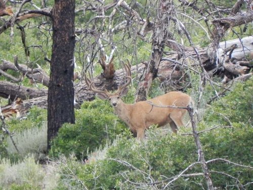 Aug. 2014 048 (2).jpg