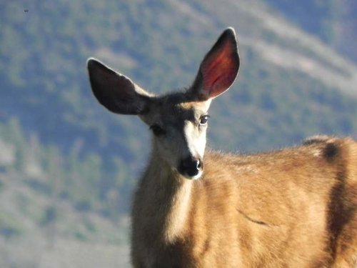 Aug. 2014 221 (1).jpg