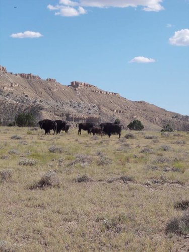 Aug. 2014 048 (1).jpg