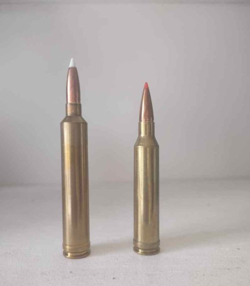 6.5 Tejas (2).jpg 6.5 Tejas (2).jpg