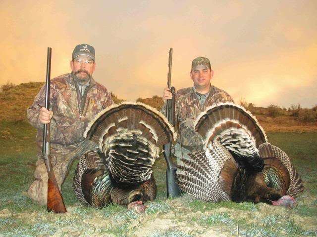 Turkeys2014a.jpeg Turkeys2014a.jpeg