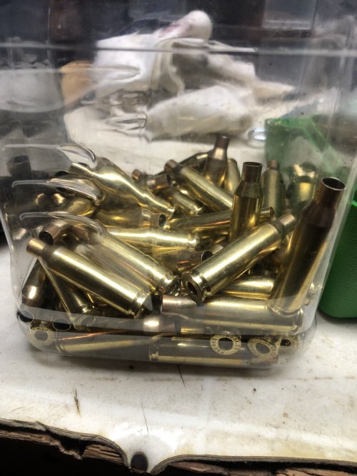 Nosler brass.