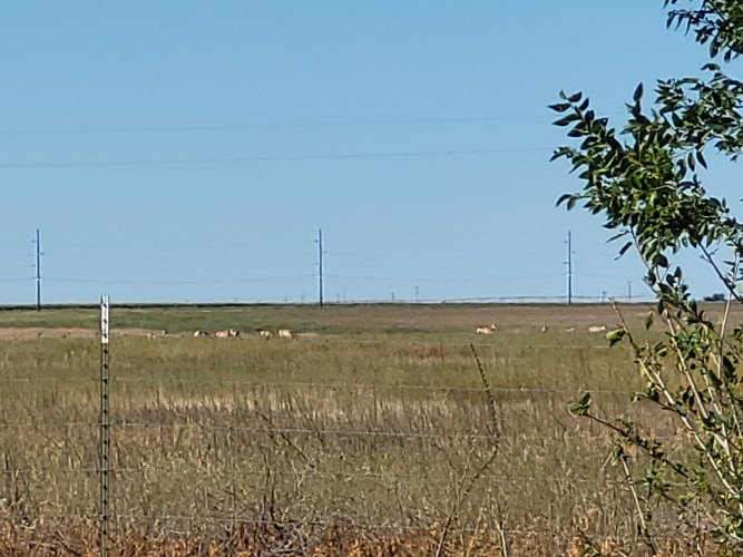 20230904_102449.jpg 20230904_102449.jpg