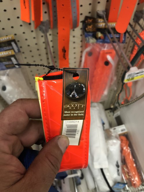 IMG_7366.jpeg IMG_7366.jpeg