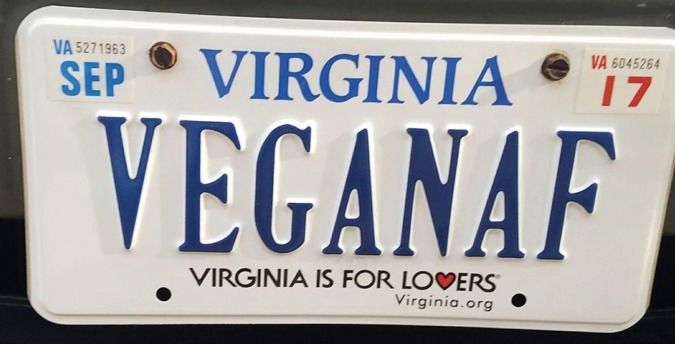 virginia plate.jpg virginia plate.jpg