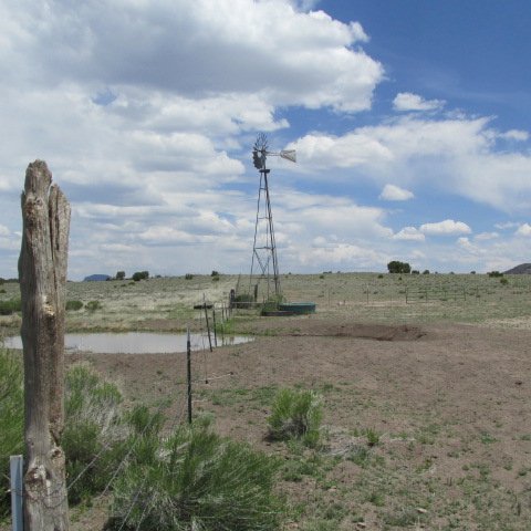 summer 16 026.JPG