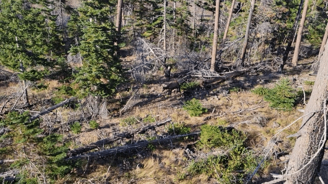 20230909_171802_2.gif 20230909_171802_2.gif