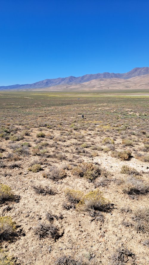 20230908_113155.jpg 20230908_113155.jpg