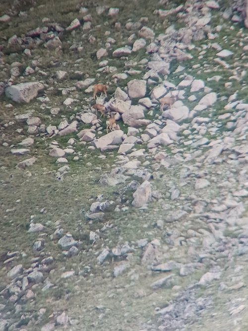 20230812_064240.jpg 20230812_064240.jpg