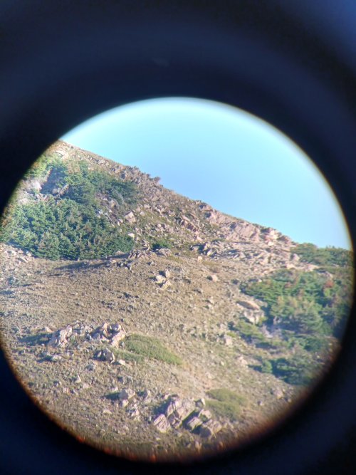 20230813_072040.jpg 20230813_072040.jpg