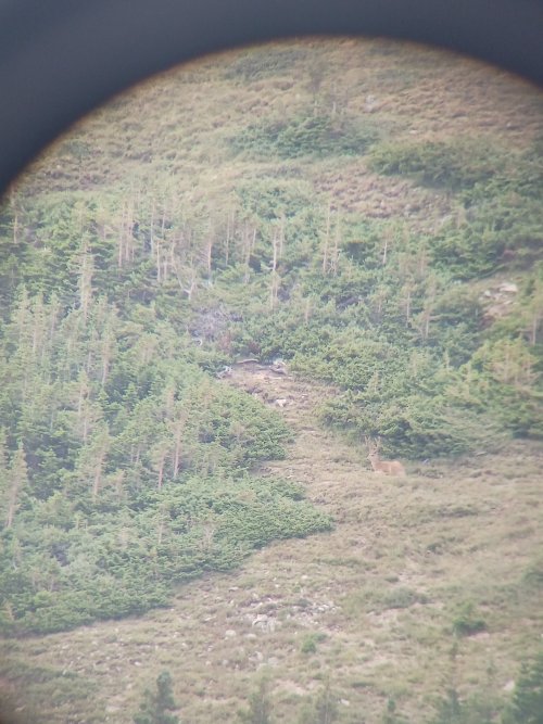 20230812_074620.jpg 20230812_074620.jpg