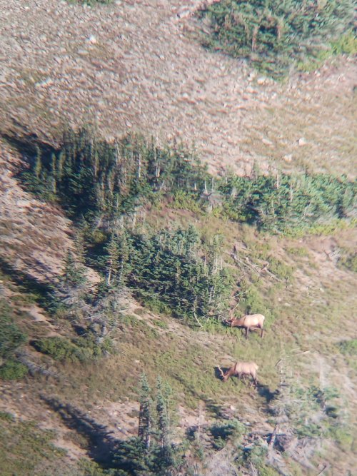 20230827_070432.jpg 20230827_070432.jpg