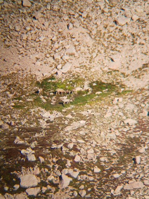 20230909_072600.jpg 20230909_072600.jpg