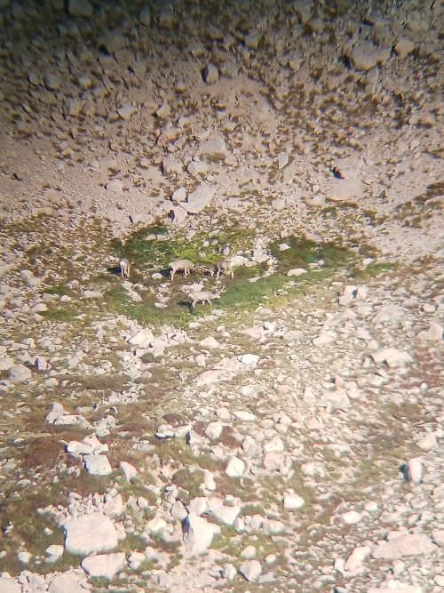 20230909_072606.jpg 20230909_072606.jpg