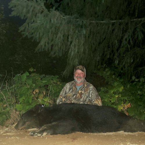 2023 OR Fall Bear #1.jpg 2023 OR Fall Bear #1.jpg