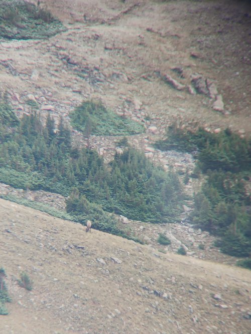 20230911_072551.jpg 20230911_072551.jpg