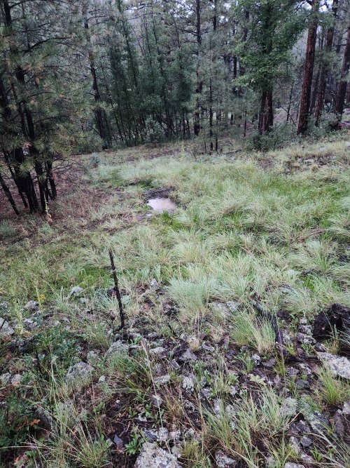 20230912_191447.jpg 20230912_191447.jpg