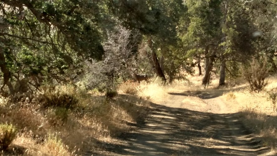 IMG_20230916_100157730_HDR.jpg IMG_20230916_100157730_HDR.jpg