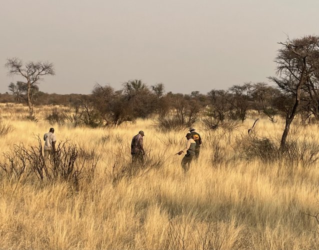 IMG_2397.jpeg IMG_2397.jpeg