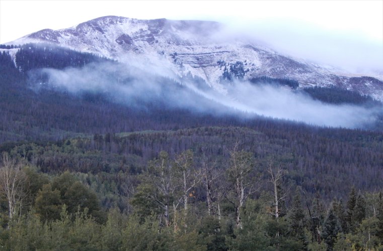 buffalo peaks first snow 9.15.23.JPG