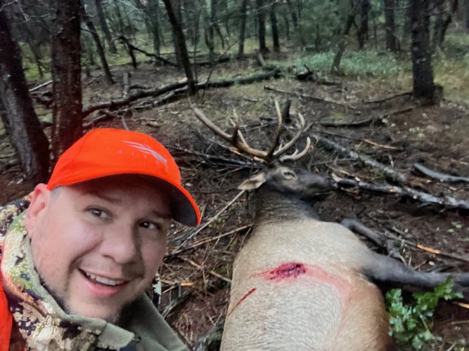 2023 Elk.jpg 2023 Elk.jpg