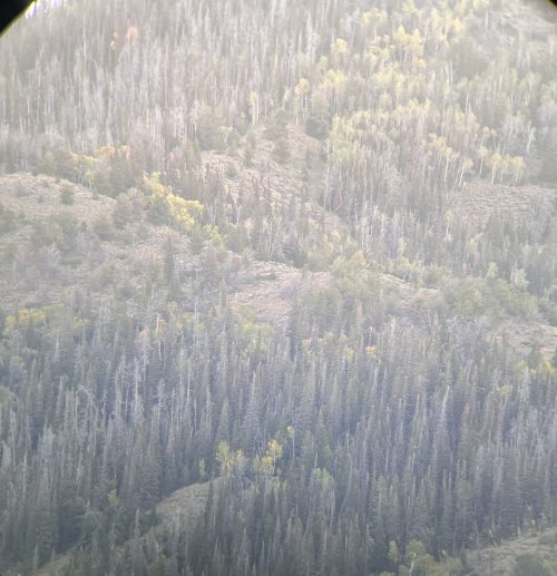IMG-3974.jpg IMG-3974.jpg