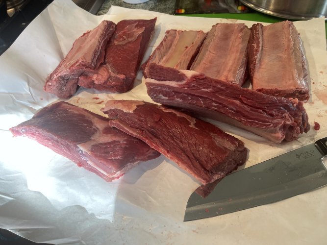 moose short ribs.JPG