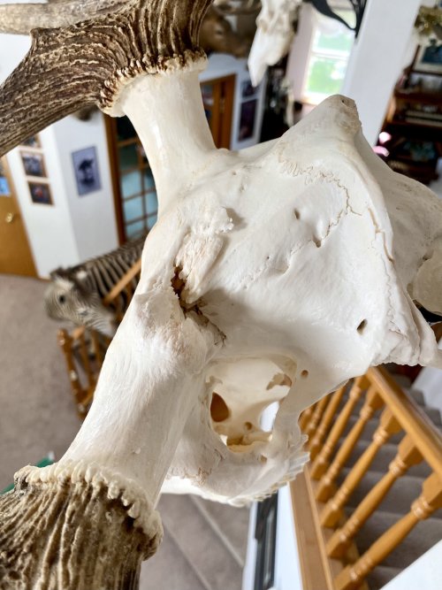 image_50443777.JPG image_50443777.JPG