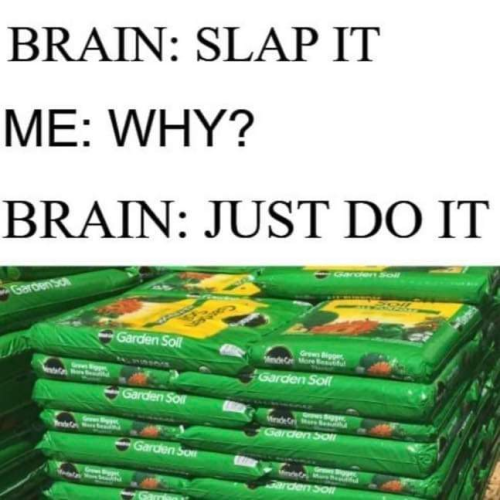 1696428929174.png 1696428929174.png