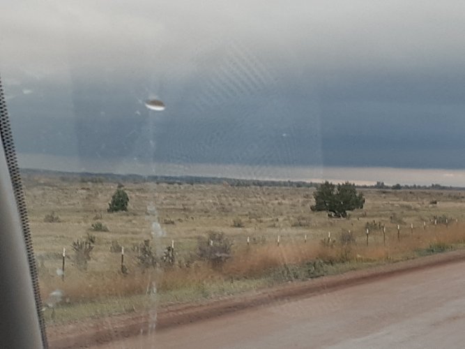 20231003_073908.jpg