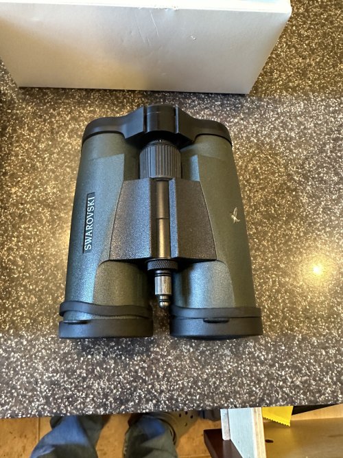 Swarovski slc 10x42 wb cheap