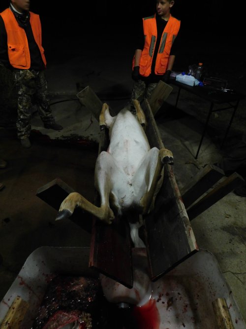 044.JPG 044.JPG