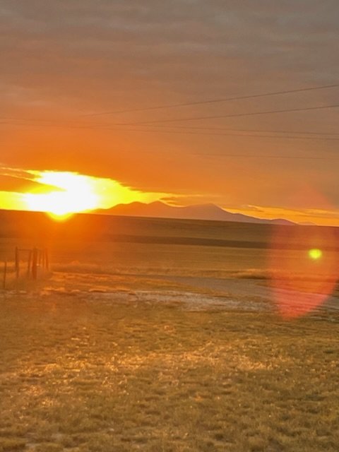 71824595599__D1B34C92-1D7D-4E28-AF63-A09D82176D3F.fullsizerender.jpeg