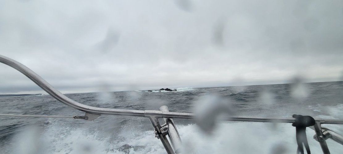 20231001_102647.jpg 20231001_102647.jpg