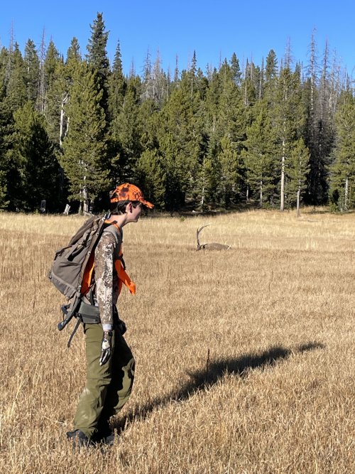 J elk 4.jpg