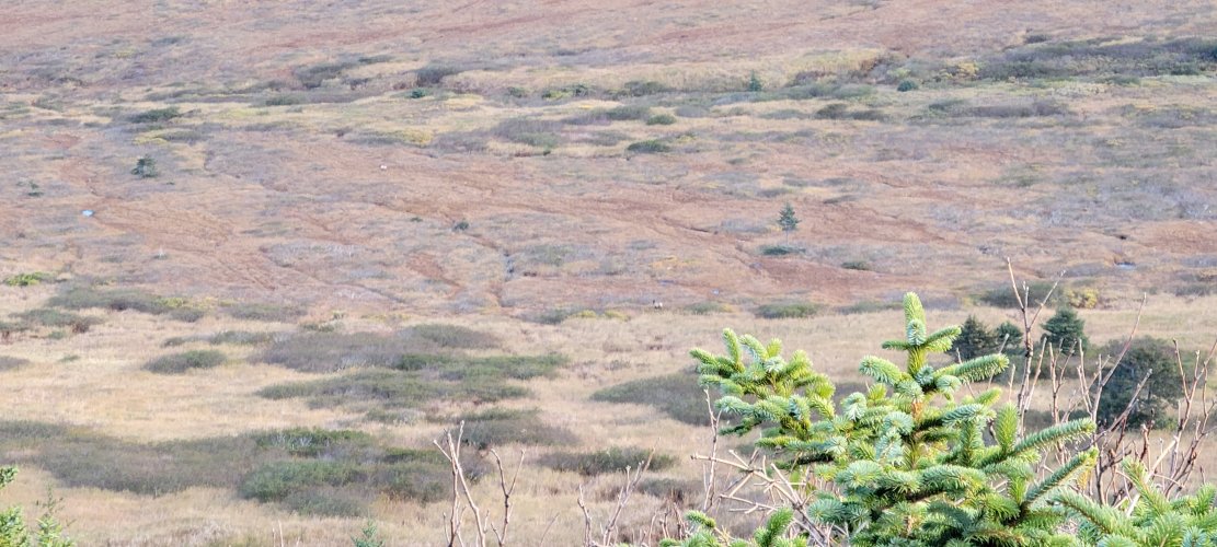 20231004_092401.jpg