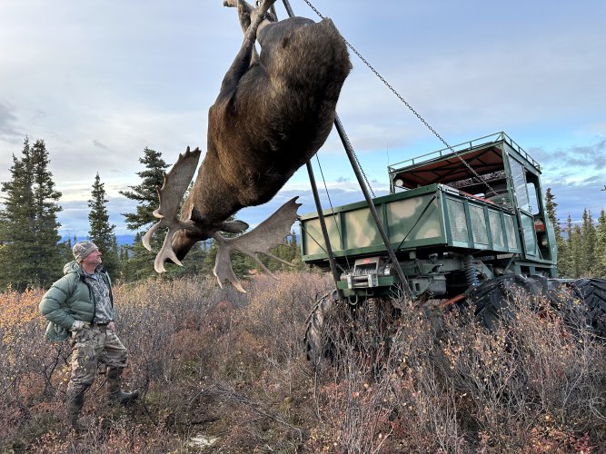 moose hoist.JPG moose hoist.JPG
