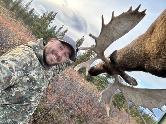 moose selfe.JPG moose selfe.JPG