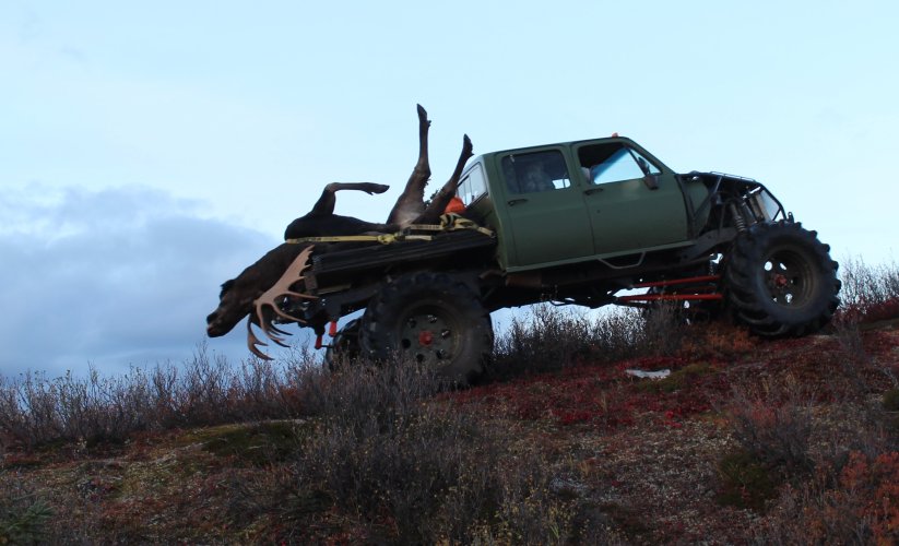 moose hauler1.JPG moose hauler1.JPG