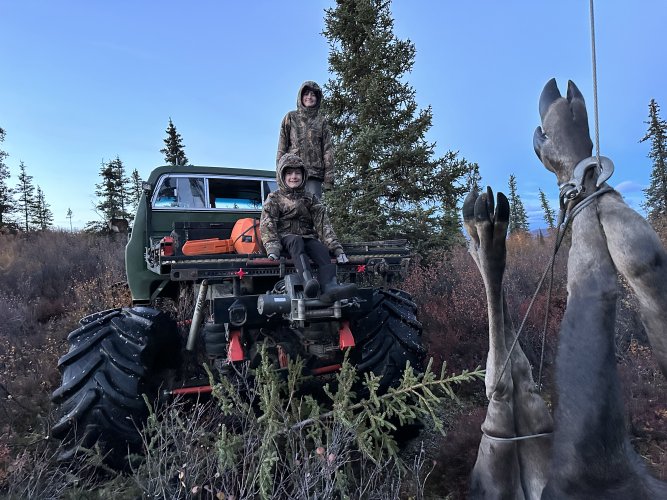 moose_hoist.JPG moose_hoist.JPG