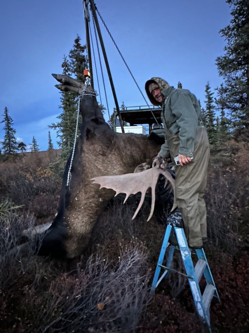 moose_weight.JPG moose_weight.JPG