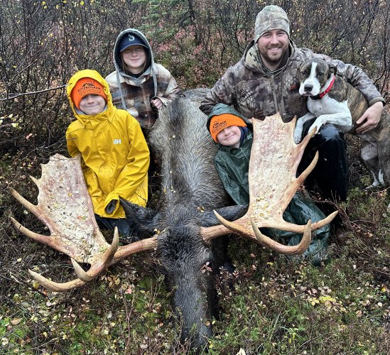 Family Bull Moose.JPG Family Bull Moose.JPG